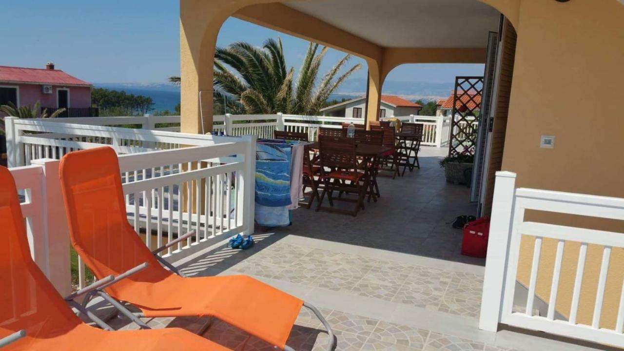 Apartment Starcevic
